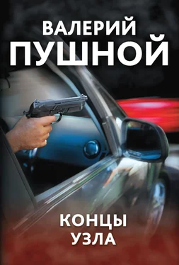 Валерий Пушной Концы узла обложка книги