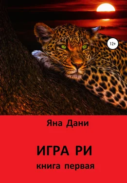 Яна Дани Игра Ри обложка книги