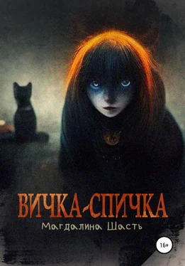 Магдалина Шасть Вичка-спичка обложка книги