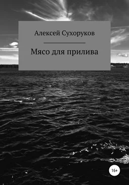 Алексей Сухоруков Мясо для прилива обложка книги