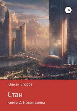 Юлиан Егоров Стаи. Книга 2. Новая Волна обложка книги