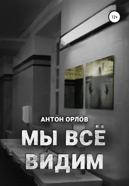 Антон Орлов Мы все видим обложка книги