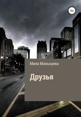 Мила Манышева Друзья обложка книги