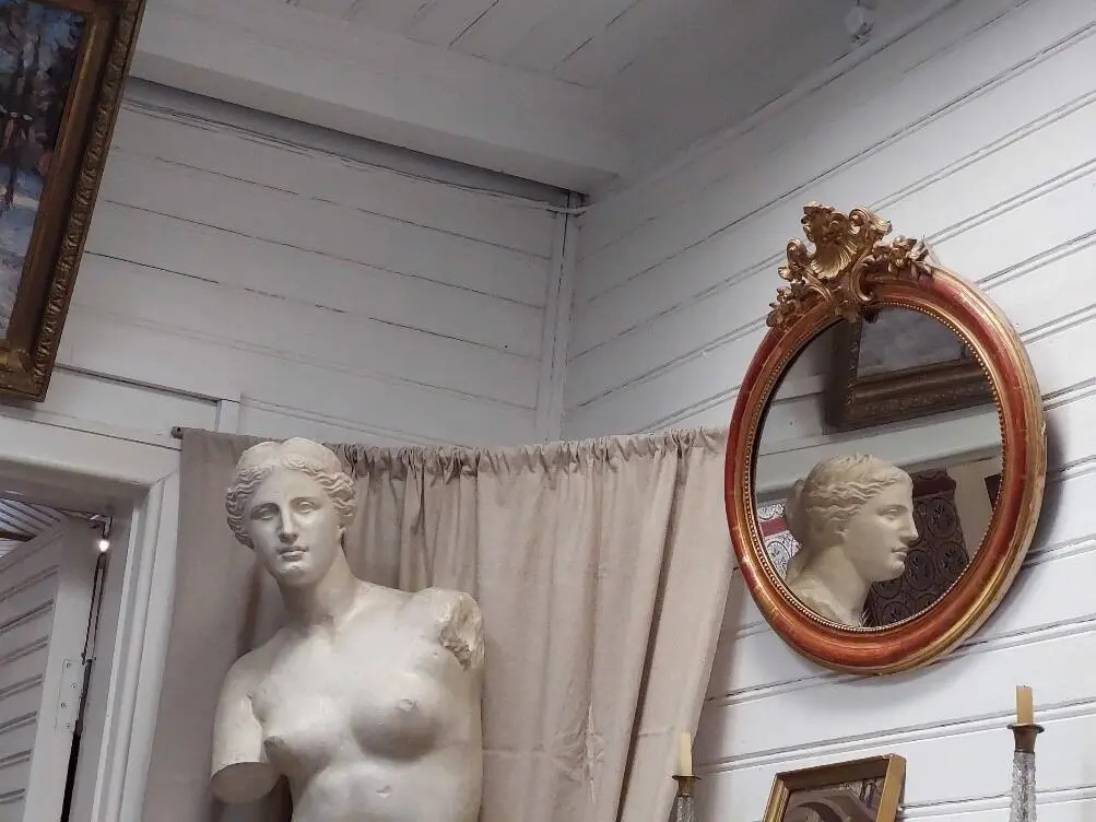 Fig 3 The reflection of a statue in a mirror Repin Estate Museum Рис 3 - фото 3