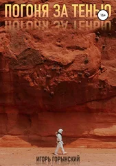 Игорь Горынский - Погоня за тенью