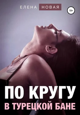 Елена Новая По кругу в турецкой бане обложка книги