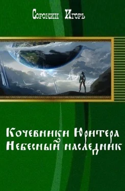 Игорь Сорокин Кочевники Юритера. Небесный наследник. (СИ) обложка книги