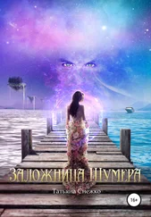 Татьяна Снежко - Заложница Шумера
