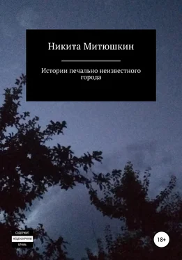 Никита Митюшкин Истории печально неизвестного города обложка книги