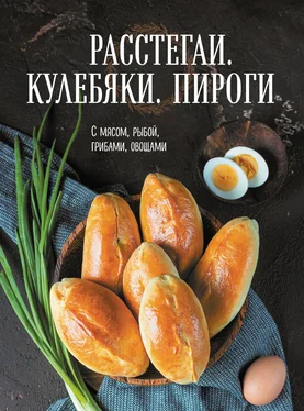 Сборник рецептов Расстегаи. Кулебяки. Пироги. С мясом, рыбой, грибами, овощами обложка книги