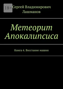 Сергей Лашманов Метеорит Апокалипсиса. Книга 4. Восстание машин обложка книги