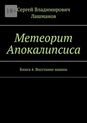 Сергей Лашманов - Метеорит Апокалипсиса. Книга 4. Восстание машин