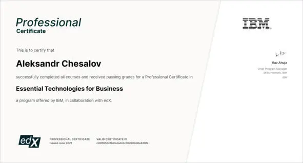 IBM Professional certificate Essential Technologies for Business Не обошлось в - фото 3