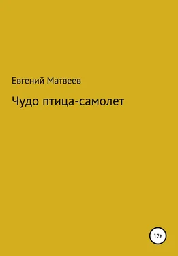 Евгений Матвеев Чудо птица-самолет обложка книги