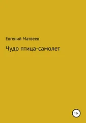 Евгений Матвеев - Чудо птица-самолет