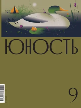 Литературно-художественный журнал Журнал «Юность» №09/2022 обложка книги