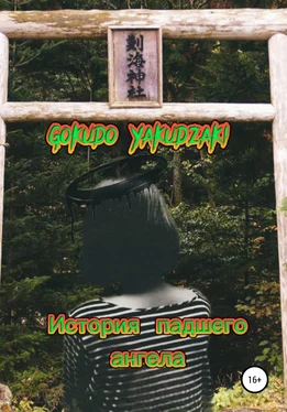 Array Gokudo Yakudzaki История падшего ангела обложка книги
