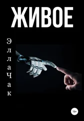 Элла Чак - Живое