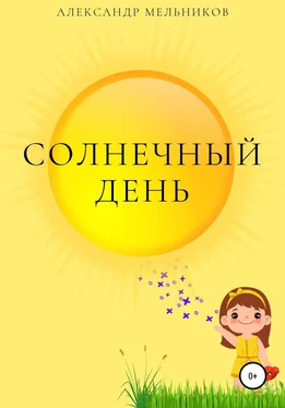 Александр Мельников Солнечный день обложка книги