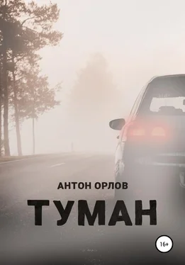 Антон Орлов Туман обложка книги