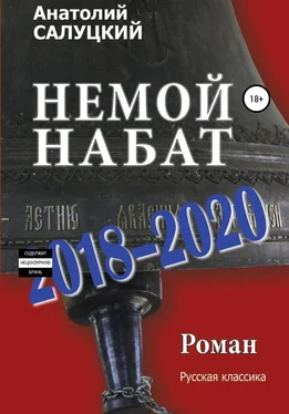 Анатолий Салуцкий Немой набат. 2018-2020 обложка книги