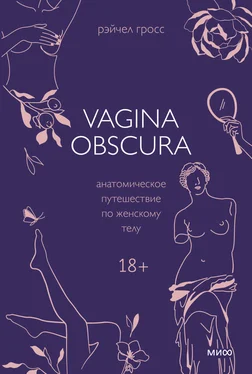 Рэйчел Гросс Vagina obscura. Анатомическое путешествие по женскому телу обложка книги