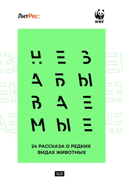 Коллектив авторов Незабываемые обложка книги