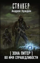 Андрей Нуждин - Зона Питер. Во имя справедливости