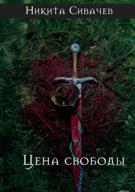 Никита Сивачев Цена свободы обложка книги
