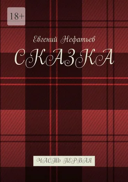 Евгений Нефатьев Сказка. Часть первая обложка книги