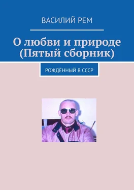 Василий Рем О любви, природе и жизни (Пятый сборник). Рождённый в СССР обложка книги