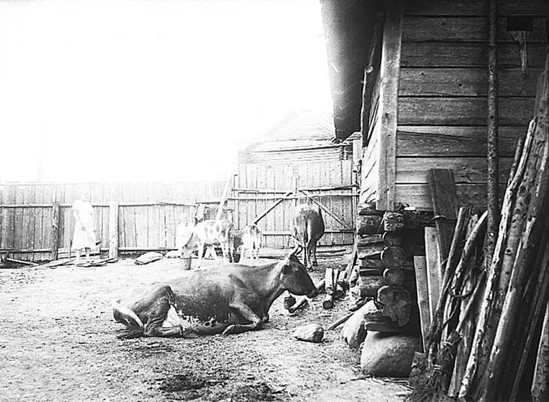 Во дворе крестьянинасередняка Валдайский рон 1926 г Дворы русских - фото 6