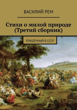 Василий Рем Стихи о милой природе (Третий сборник). Рождённый в СССР обложка книги