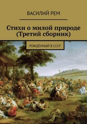 Василий Рем - Стихи о милой природе (Третий сборник). Рождённый в СССР