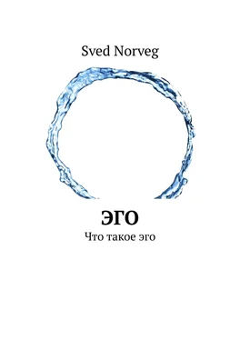 Редик Кулуев Эго. Что такое эго обложка книги