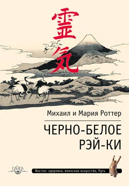 Мария Роттер Черно-белое Рэй-Ки обложка книги