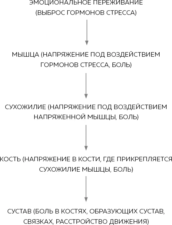 Под воздействием стресса и в мышцах и в сухожилиях и в костях и в связках и - фото 3