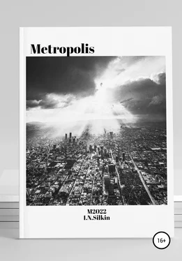 Ivan Silkin Metropolis обложка книги