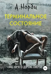А. Норди - Терминальное состояние