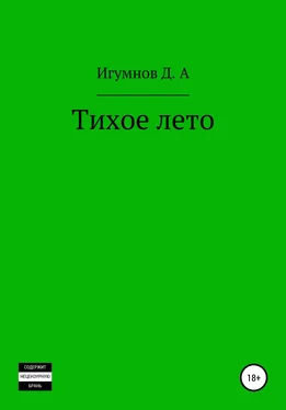 Денис Игумнов Тихое лето обложка книги