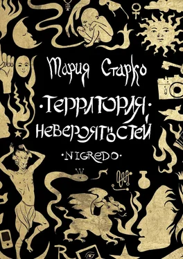 Мария Старко Территория невероятностей. Nigredo обложка книги