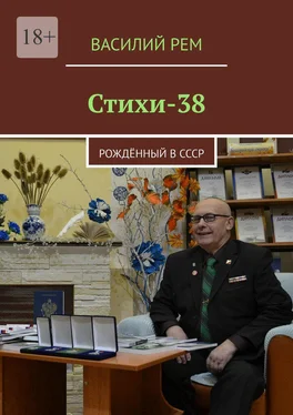 Василий Рем Стихи-38. Рождённый в СССР обложка книги