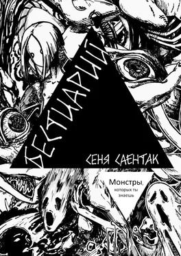 Сеня Саентак Бестиарий обложка книги