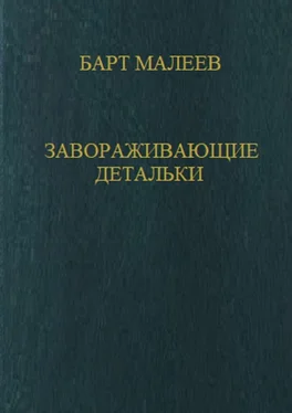 Барт Малеев Завораживающие детальки обложка книги