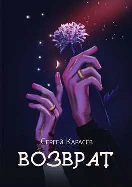 Сергей Карасёв Возврат обложка книги