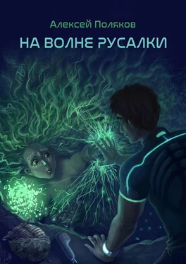 Алексей Поляков На волне русалки обложка книги
