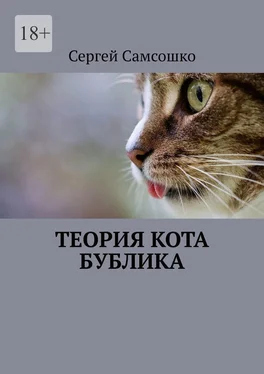 Сергей Самсошко Теория кота Бублика обложка книги