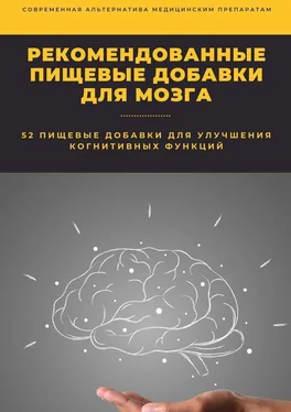 Константин Комиссаров Рекомендованные пищевые добавки для мозга обложка книги