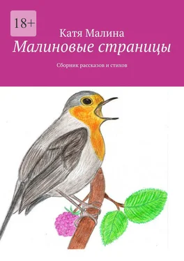 Катя Малина Малиновые страницы. Сборник рассказов и стихов обложка книги