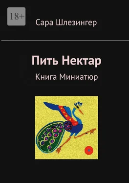 Сара Шлезингер Пить Нектар. Книга Миниатюр